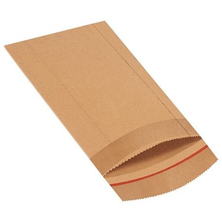Bsc Preferred 7 1/4 x 10-1/2'' #1 Jiffy Rigi Bag Mailers, 250PK BUY00027121